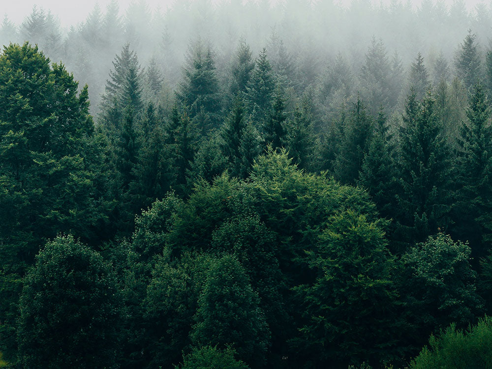 Notre Engagement Qualité